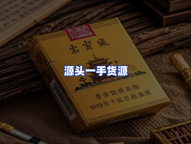 专业团队